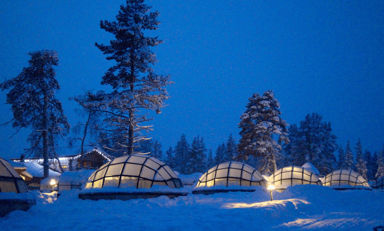 Staycation Unik: Tidur di Rumah Pohon hingga Igloo